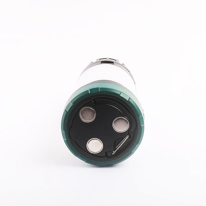 Multi-Functional Fan Light