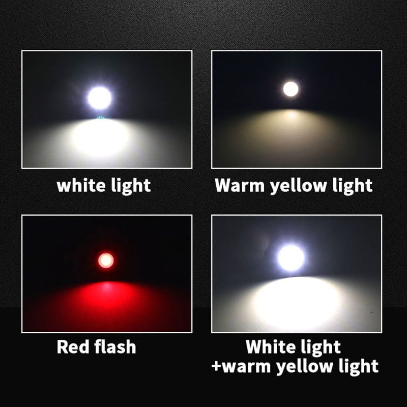 Dedalert Motion Headlamp