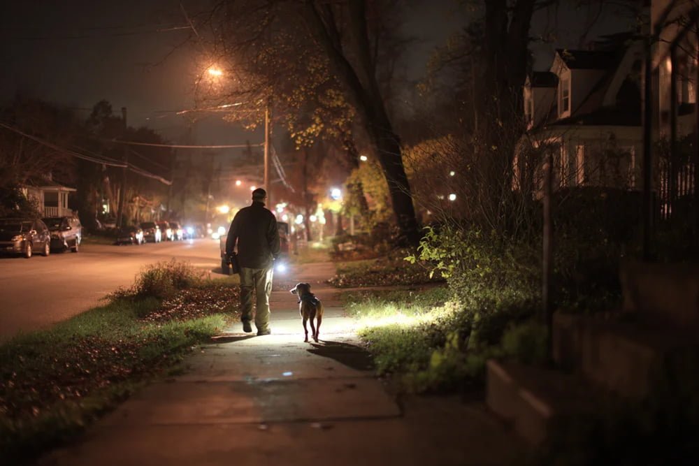 Daily Use of Tactical Flashlight person walking dog at night with flashlight