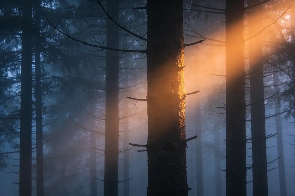 Amber hunting light in fog Amber light beam cutting through thick fog