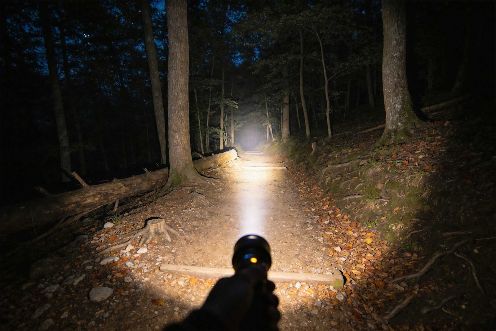 fast movement lighting